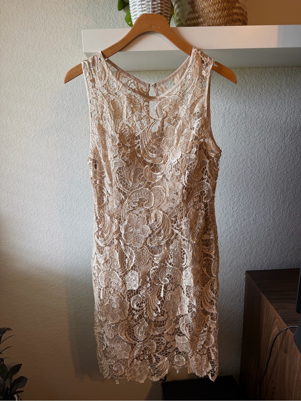Cache Cream Lace Dress with Floral Crochet Overlay